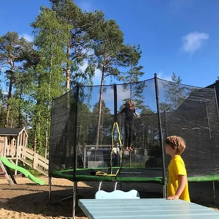 Miedzy Sosnami 山林小屋