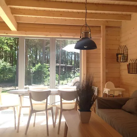 Miedzy Sosnami Orman Evi