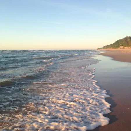 Miedzy Sosnami Chata *