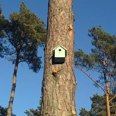 Miedzy Sosnami Pobierowo