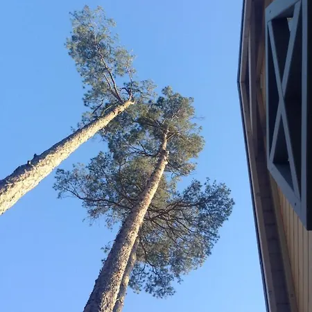 Miedzy Sosnami * Pobierowo