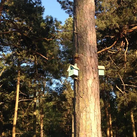 Miedzy Sosnami * Pobierowo