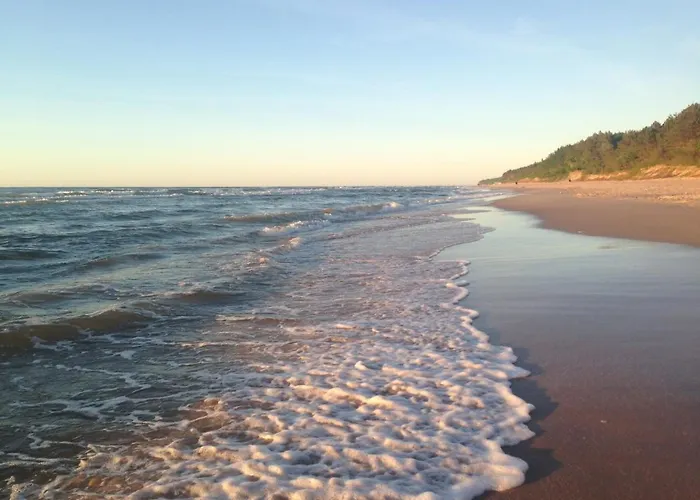 Miedzy Sosnami ロッジ *